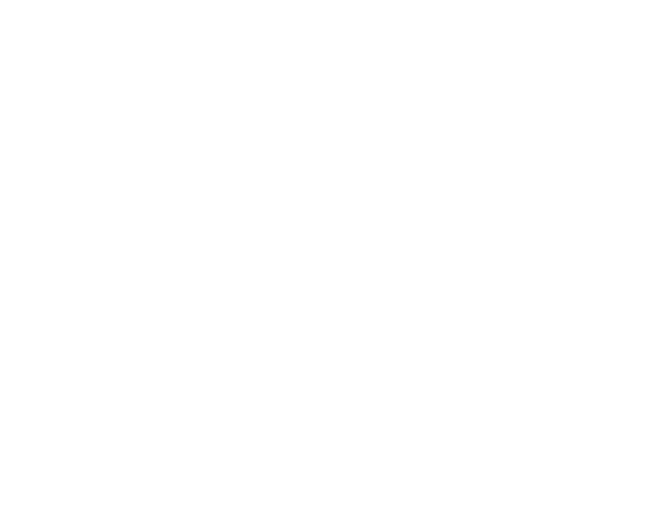 Hotel Posada Señorial